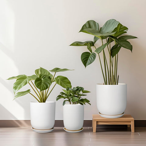 SUNPOTFOR maceta en sala aporta estilo mid‑century y orden