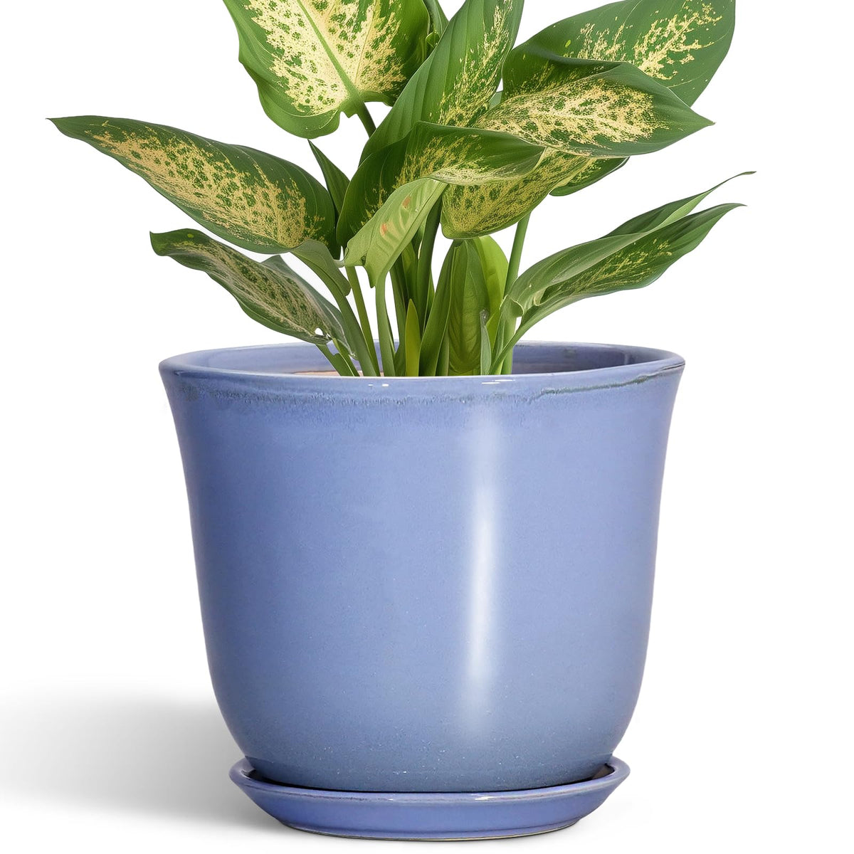 SUNPOTFOR maceta frontal púrpura-azul que decora y protege plantas