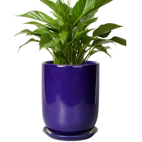 sunpotfor maceta cerámica frontal azul mostrando acabado y forma, elegante para decoración