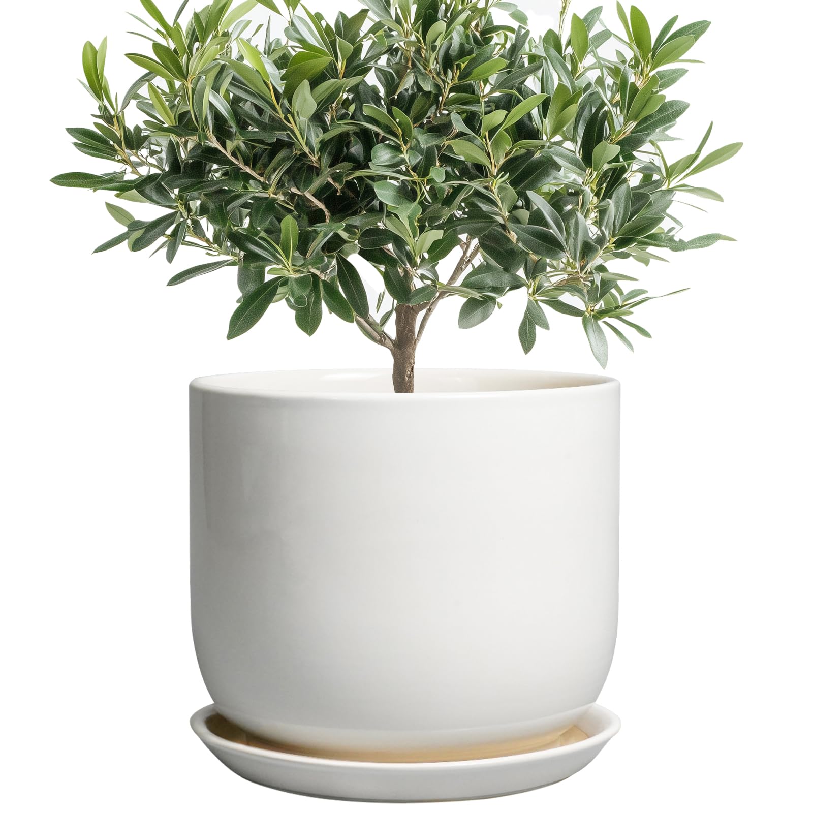 SUNPOTFOR maceta frontal blanca elegante, mejora la decoración