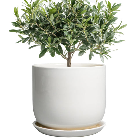 SUNPOTFOR maceta frontal blanca elegante, mejora la decoración