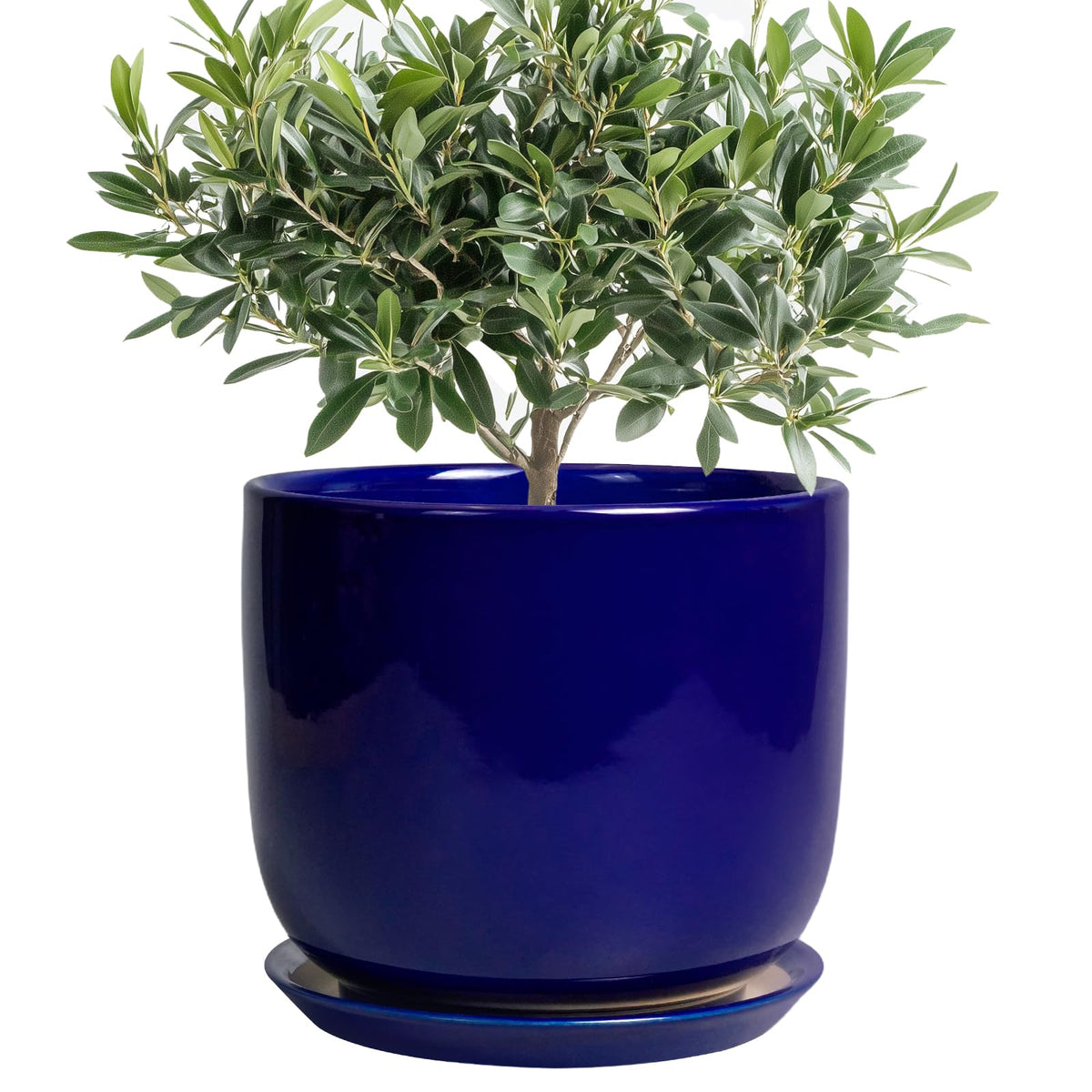 SUNPOTFOR maceta cerámica frontal azul mostrando forma y acabado elegante