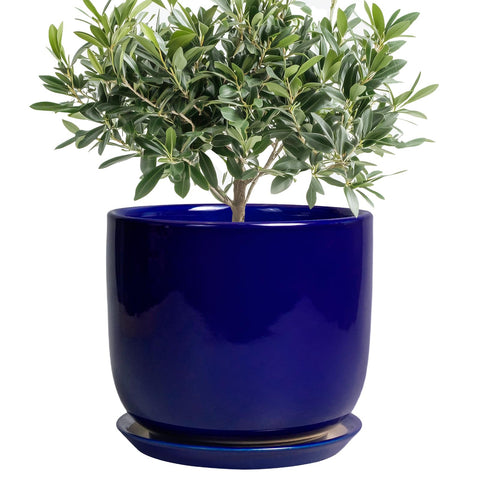 SUNPOTFOR maceta cerámica frontal azul mostrando forma y acabado elegante