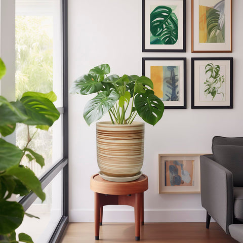 SUNPOTFOR comparación de tamaño 10 pulgadas para plantas con raíces
