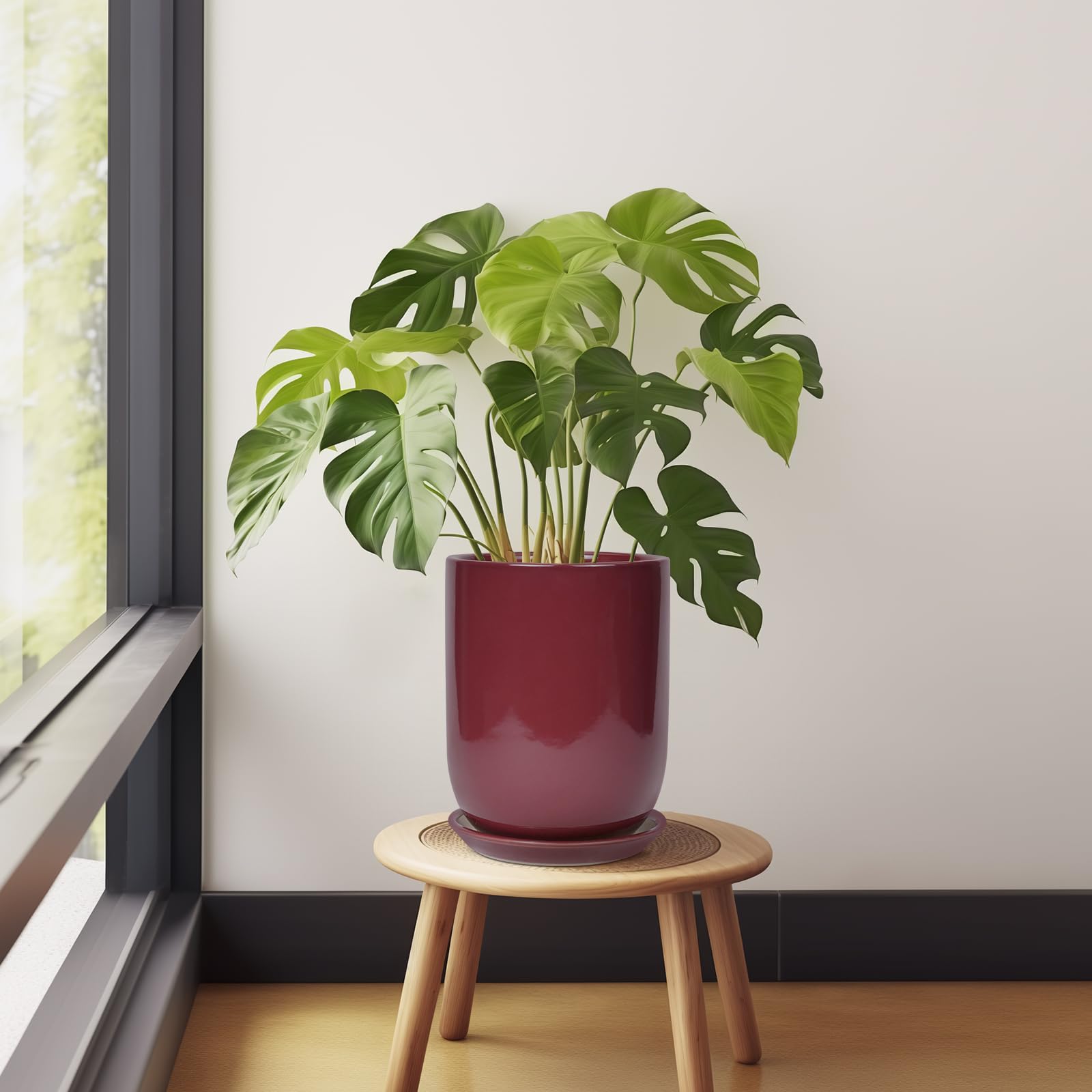 SUNPOTFOR maceta con monstera en interior ofreciendo soporte y estética