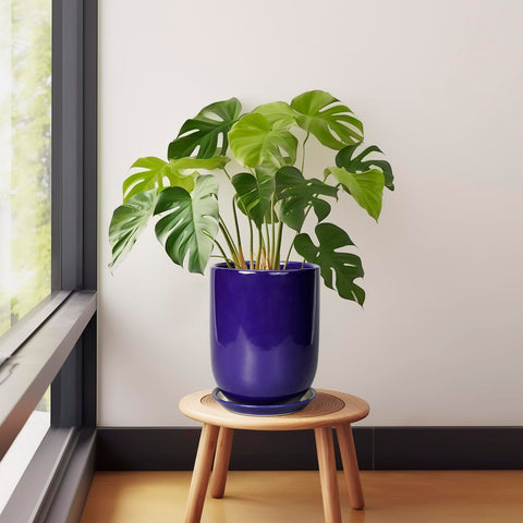 sunpotfor maceta con monstera colocada en salón demostrando uso interior decorativo