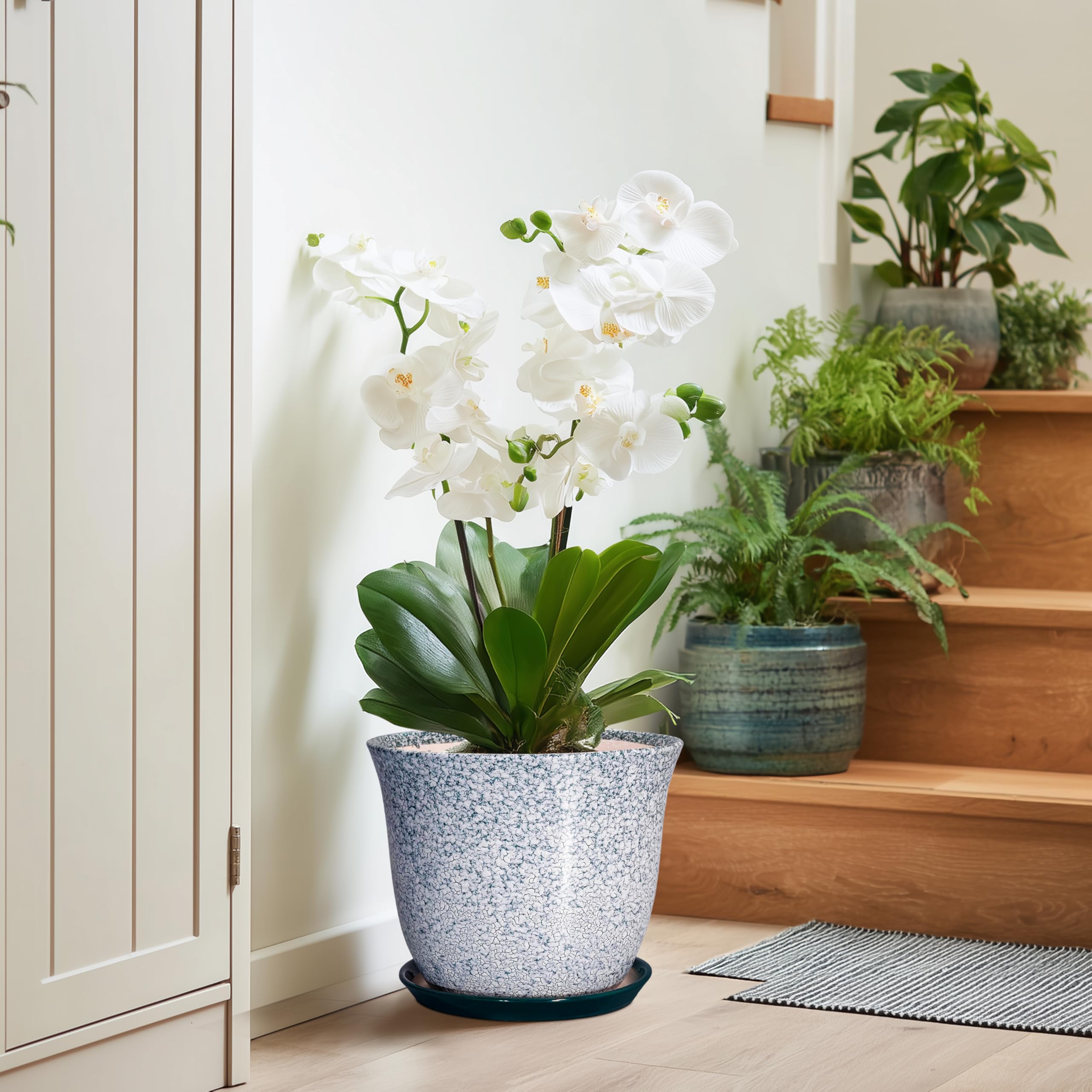 SUNPOTFOR maceta con monstera ejemplificando uso para plantas medianas