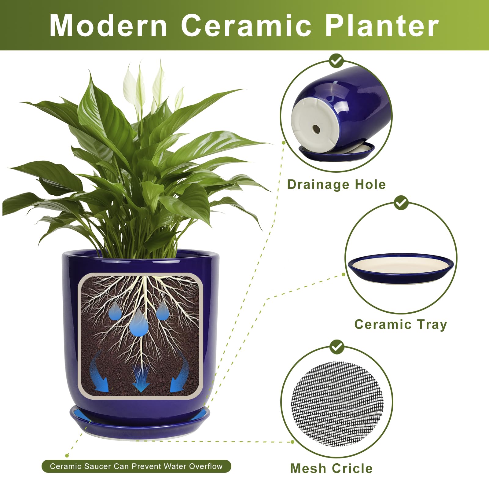SUNPOTFOR maceta con monstera demostrando capacidad para plantas grandes