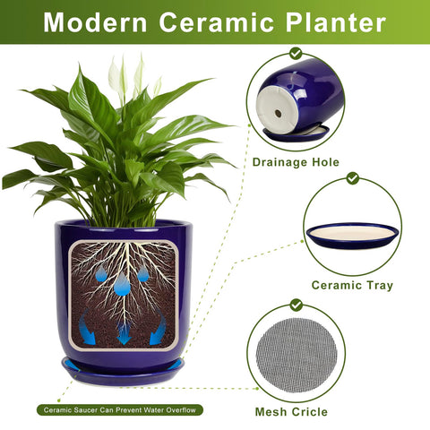 SUNPOTFOR maceta con monstera demostrando capacidad para plantas grandes
