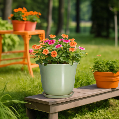 SUNPOTFOR maceta con monstera demostrando ajuste para plantas medianas