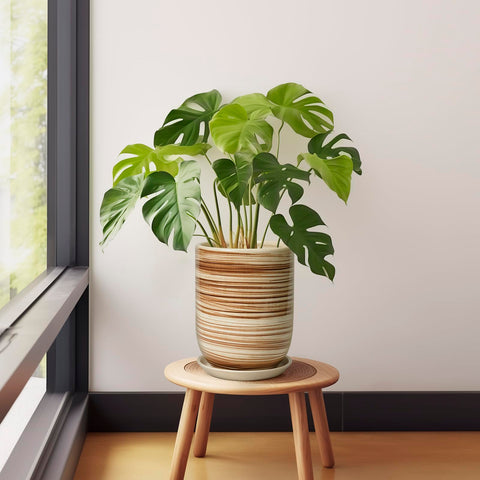 SUNPOTFOR maceta con monstera, soporte estable para plantas grandes