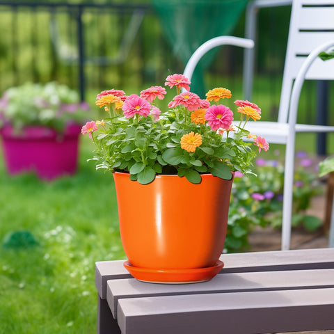 SUNPOTFOR maceta con planta sobre escritorio ideal para decoración interior