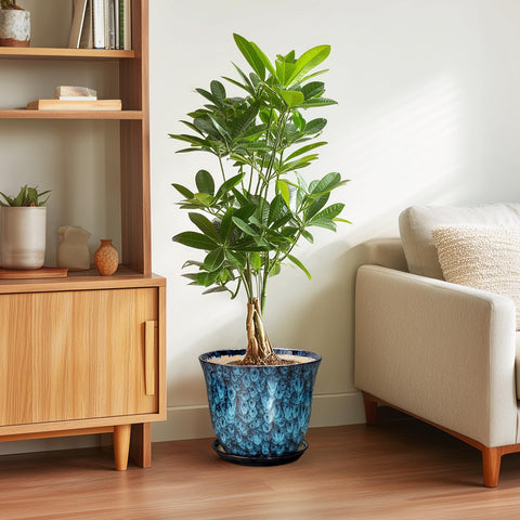 SUNPOTFOR maceta con monstera demostrando ajuste ideal y soporte estable