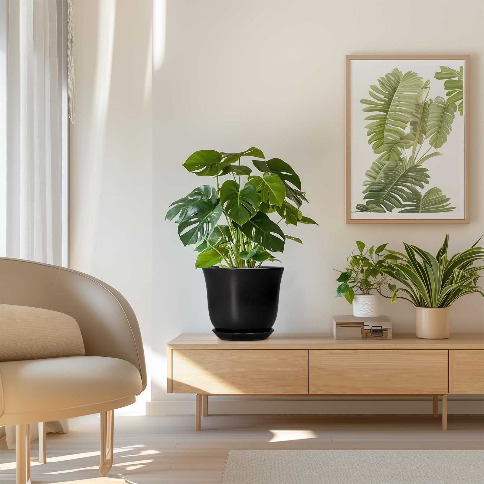 SUNPOTFOR maceta con varias plantas, presentación lista para regalar