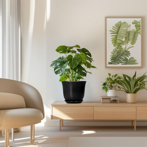 SUNPOTFOR maceta con varias plantas, presentación lista para regalar