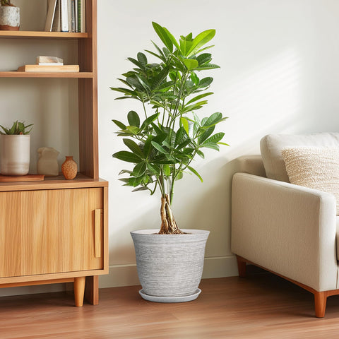 SUNPOTFOR maceta con planta mostrando soporte y estética