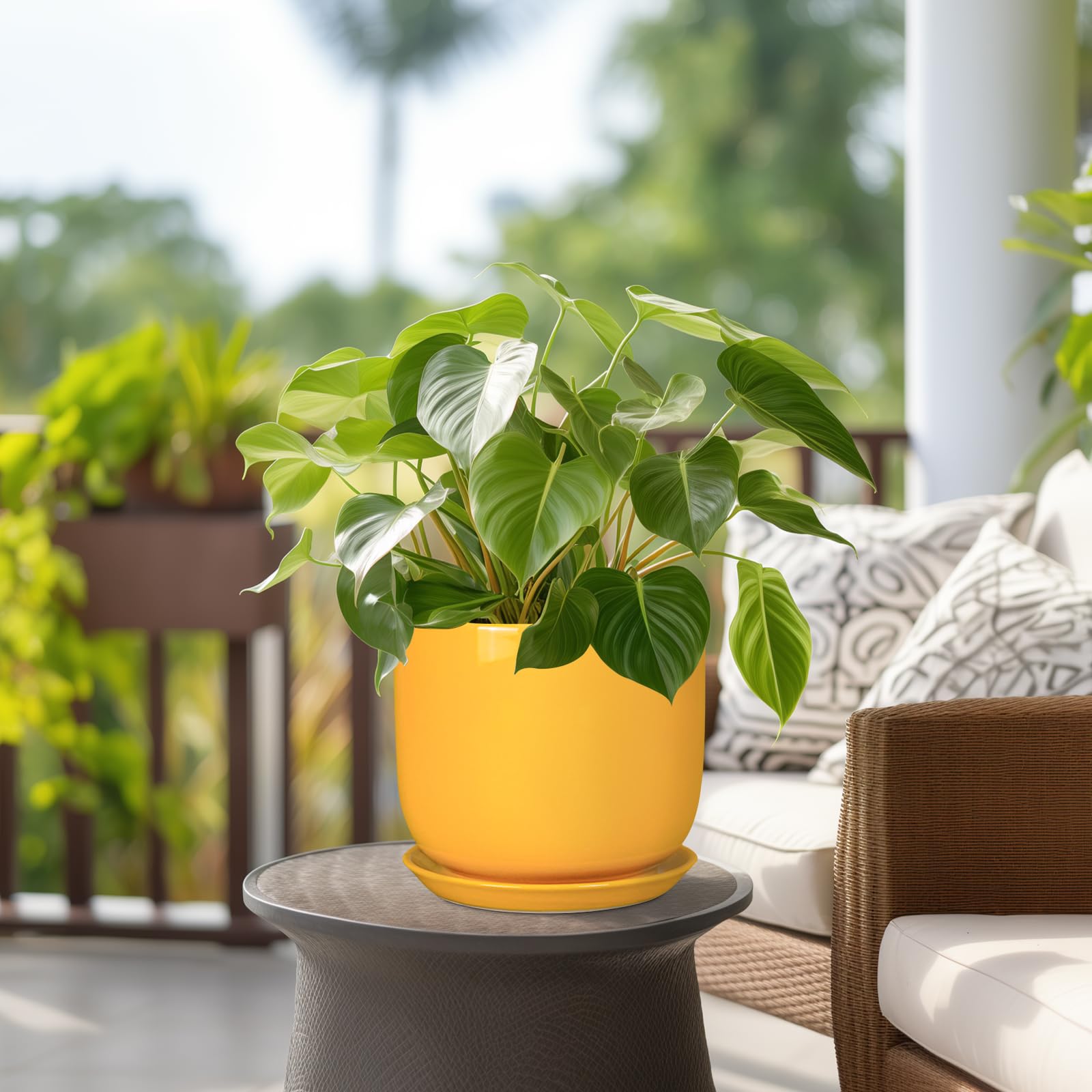 SUNPOTFOR maceta con suculenta en escritorio que optimiza espacios pequeños