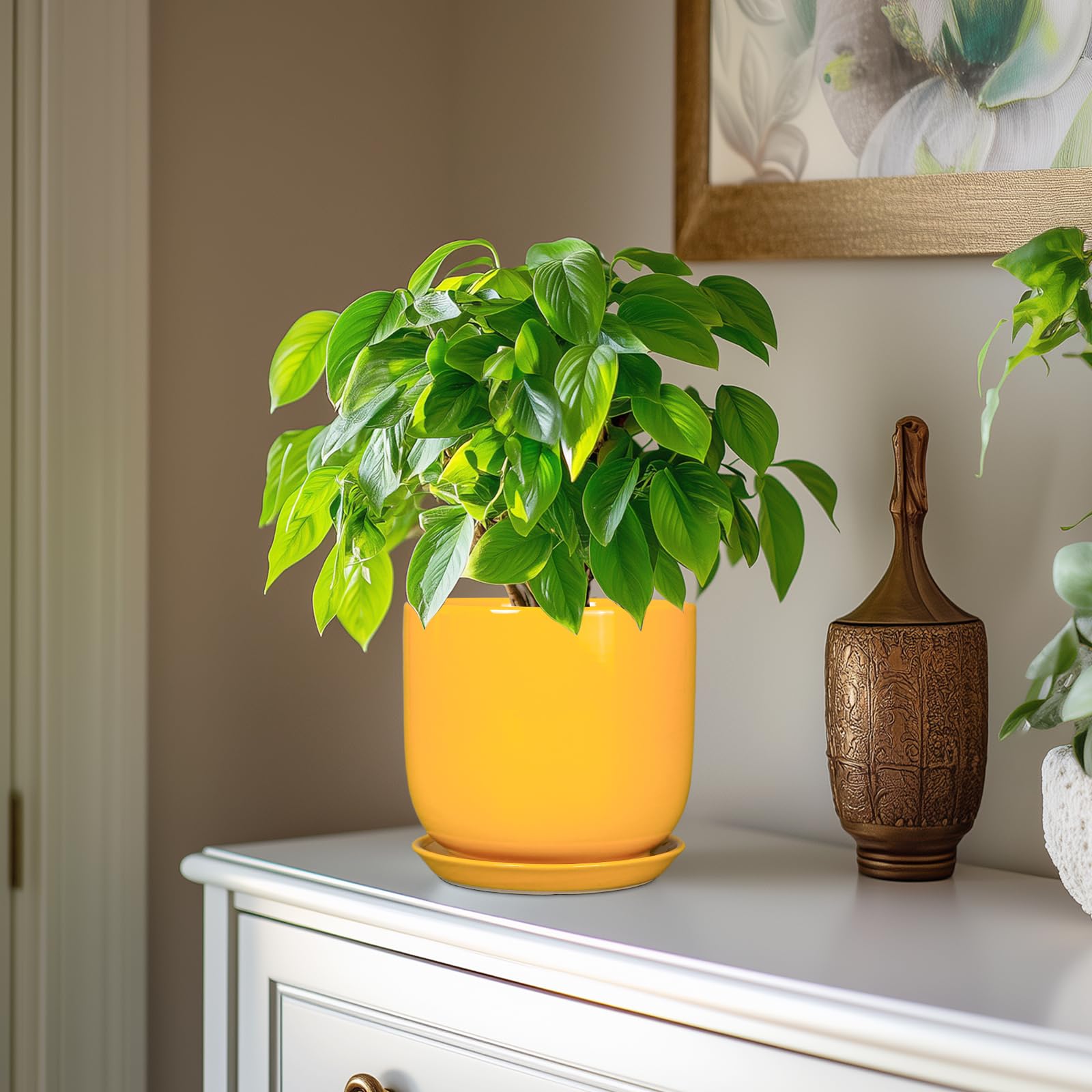 SUNPOTFOR maceta con suculenta plantada, facilita riego controlado y estilo