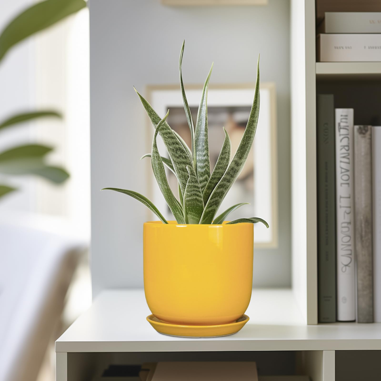 SUNPOTFOR maceta con suculenta plantada demostrando uso ideal para suculentas