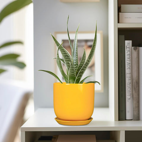 SUNPOTFOR maceta con suculenta plantada demostrando uso ideal para suculentas