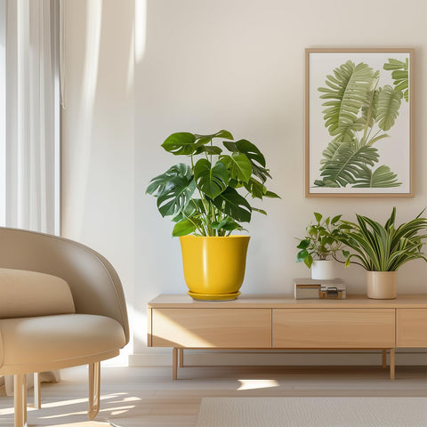 SUNPOTFOR maceta integrada en salón aportando color y estilo