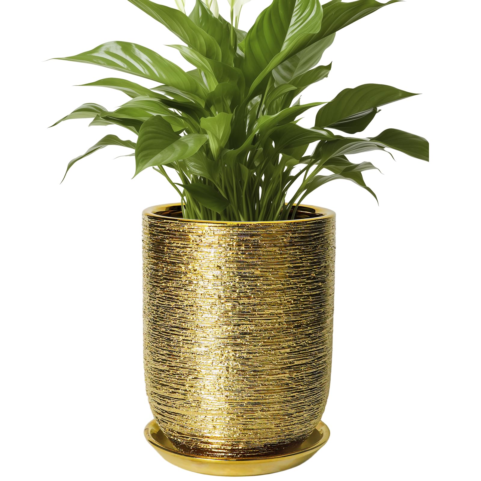 SUNPOTFOR maceta frontal dorada mostrando diseño moderno y elegancia