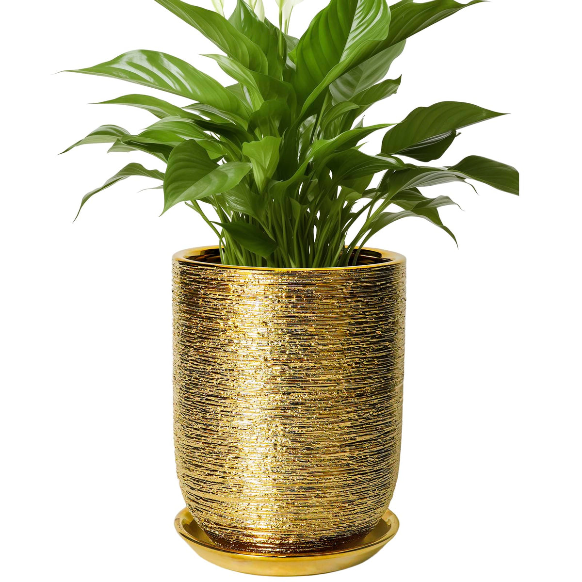 SUNPOTFOR maceta frontal dorada mostrando diseño moderno y elegancia
