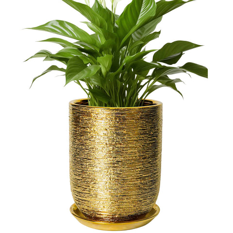 SUNPOTFOR maceta frontal dorada mostrando diseño moderno y elegancia