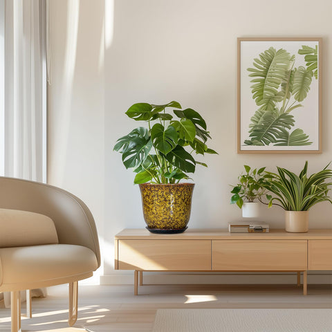 SUNPOTFOR maceta en salón aportando color y estilo decorativo