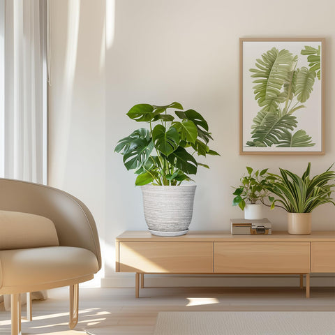 SUNPOTFOR maceta en balcón aportando estilo y practicidad al exterior