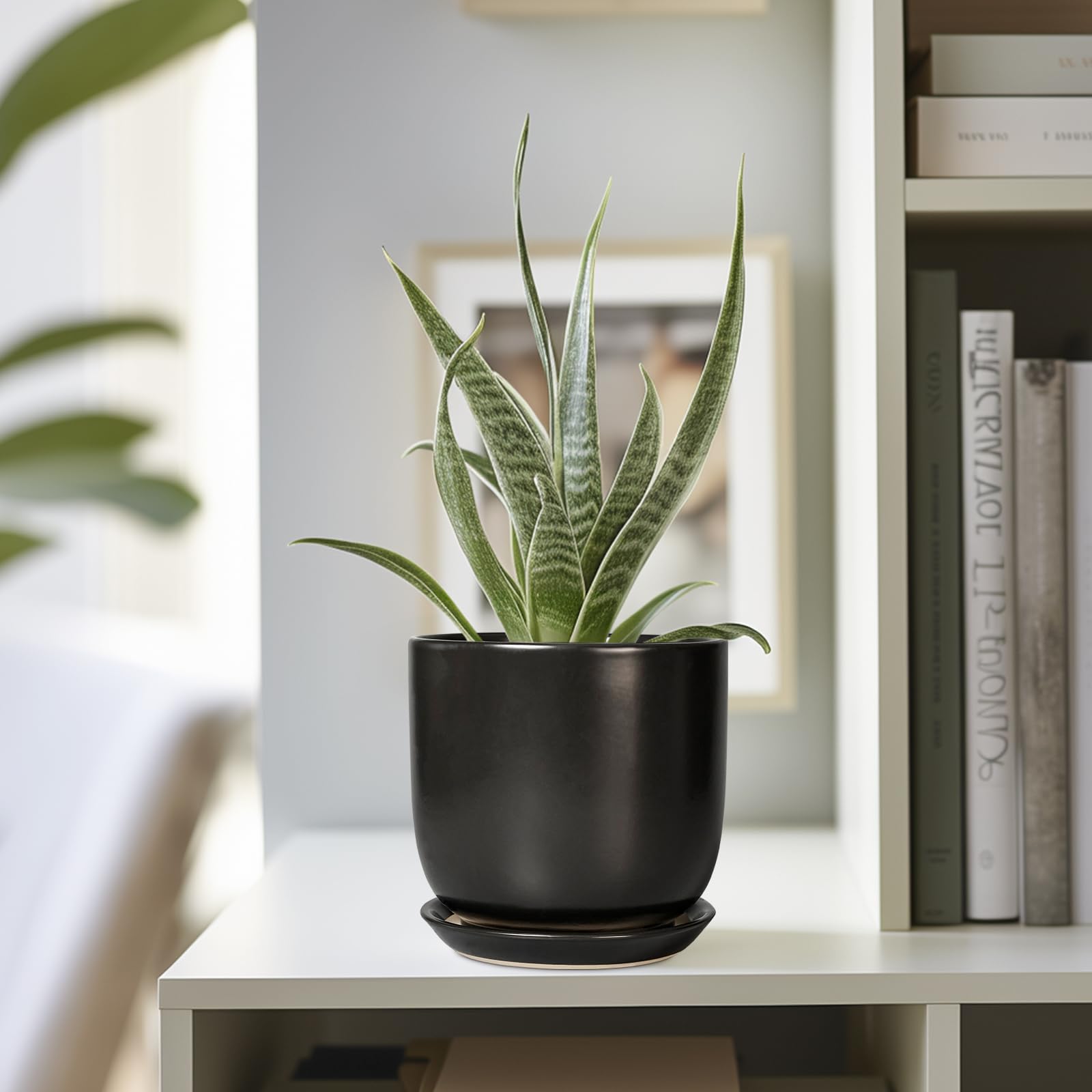 SUNPOTFOR maceta en escritorio aporta verde y orden al trabajo