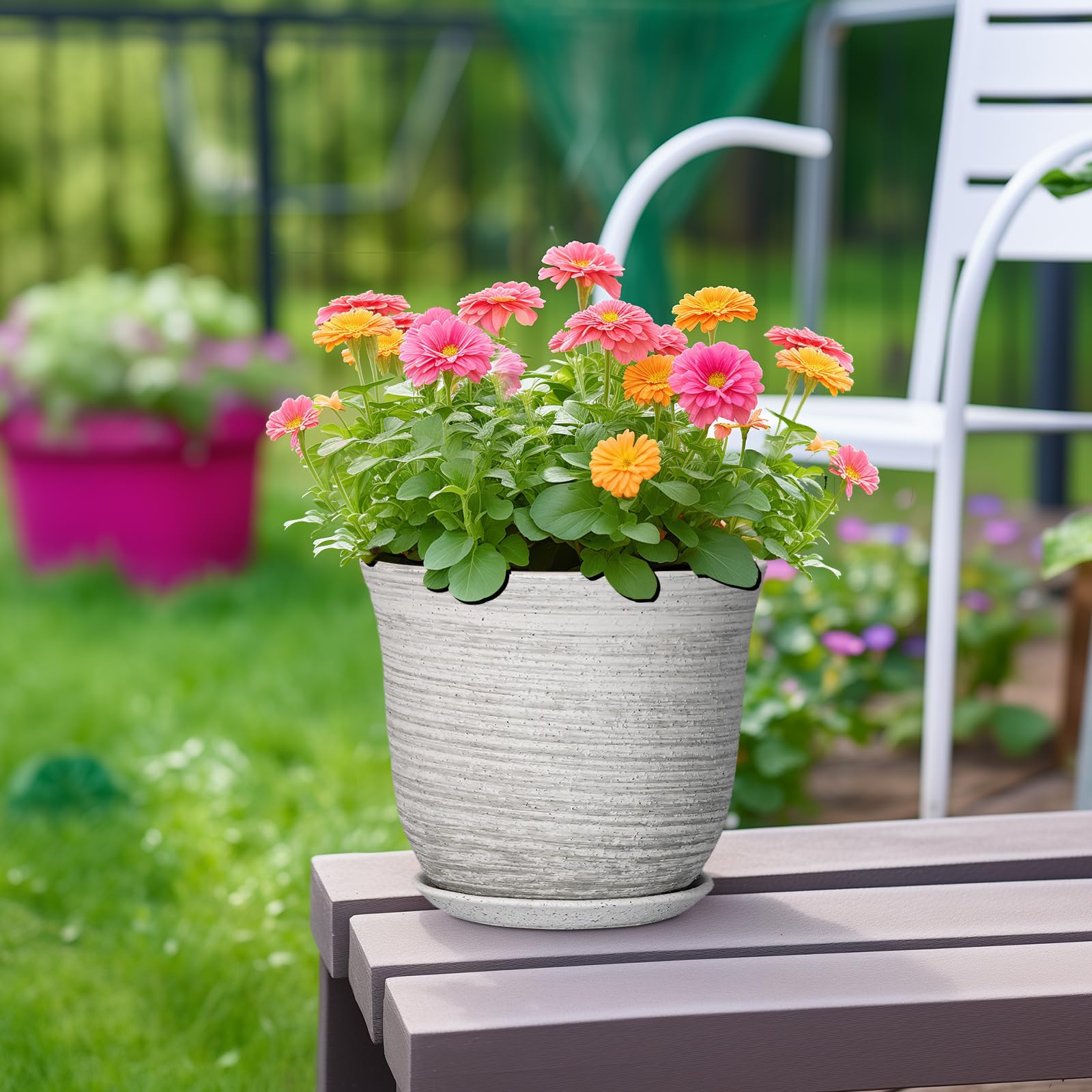 SUNPOTFOR maceta en escritorio mejorando decoración y salud de plantas