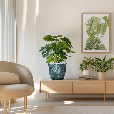 SUNPOTFOR maceta integrada en patio con otras plantas como propuesta decorativa