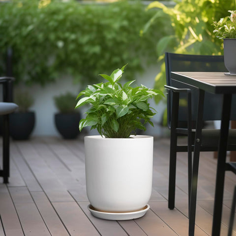 SUNPOTFOR maceta en salón realzando decoración y ahorro de espacio