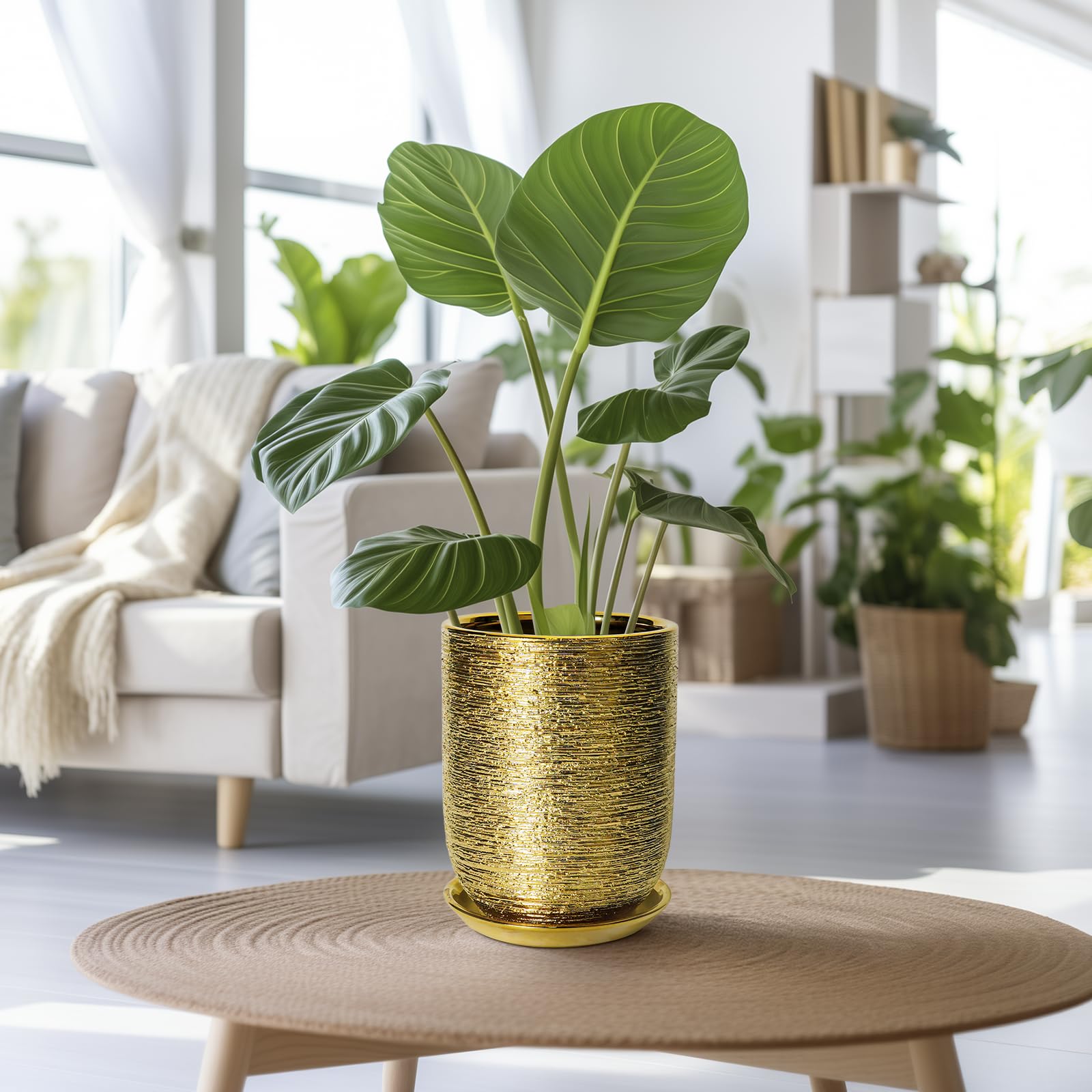 SUNPOTFOR maceta en salón aportando estilo y protección a plantas