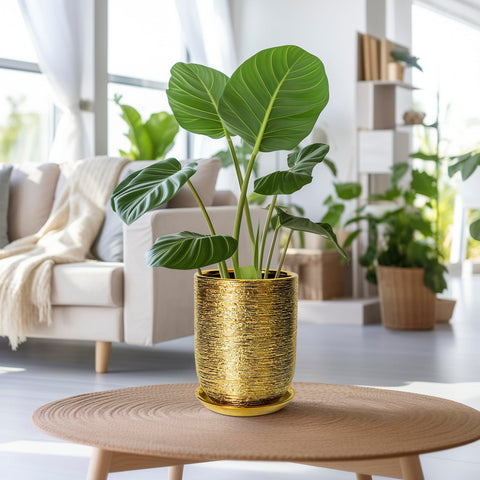 SUNPOTFOR maceta en salón aportando estilo y protección a plantas