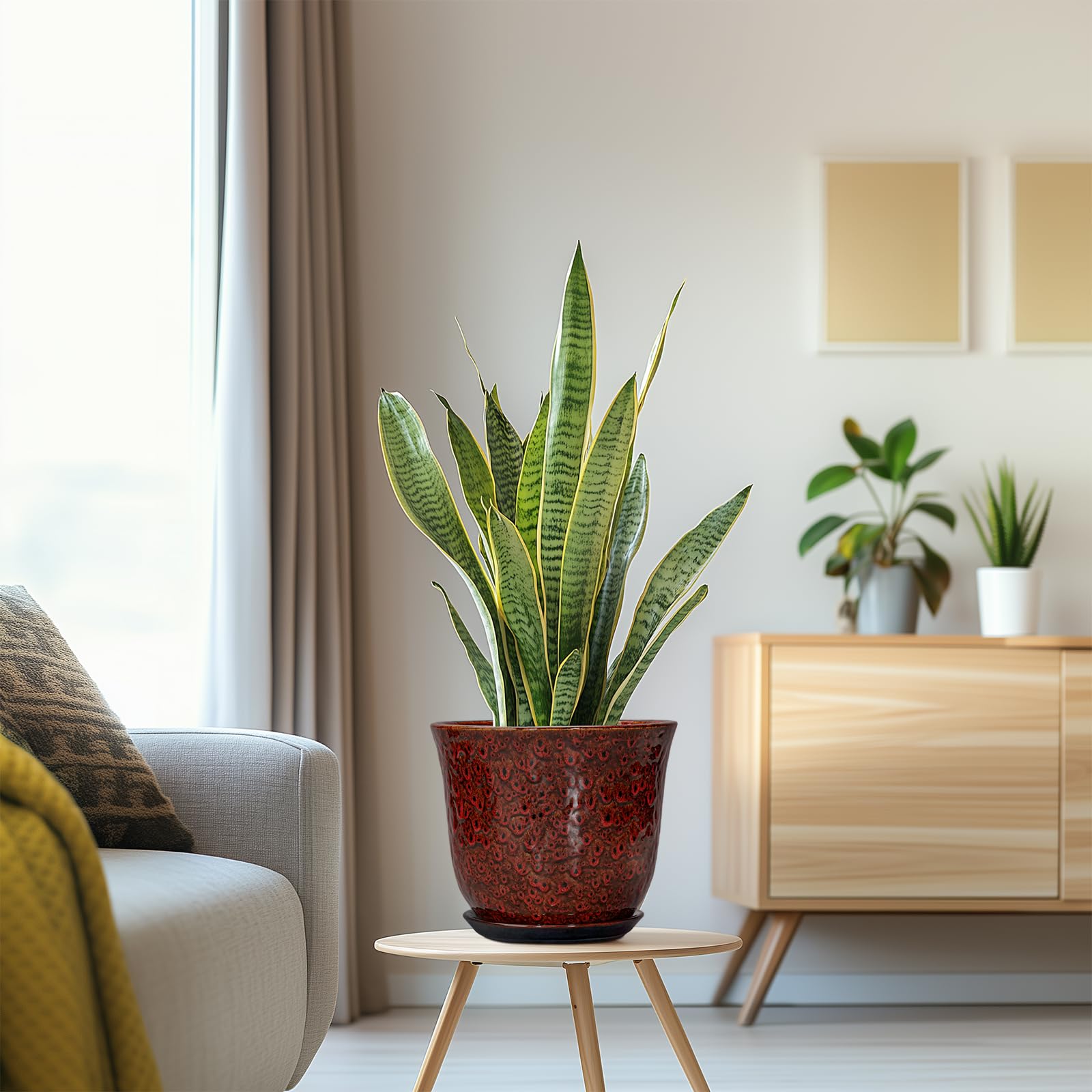 SUNPOTFOR maceta en escritorio con planta, decora y ahorra espacio