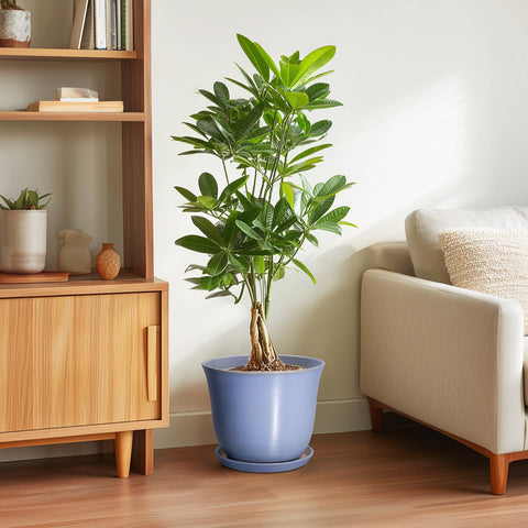 SUNPOTFOR maceta en uso con pothos, optimiza salud de la planta