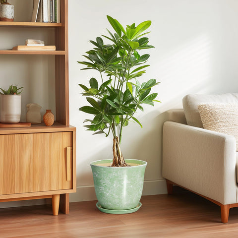 SUNPOTFOR maceta con planta en salón que mejora la estética interior