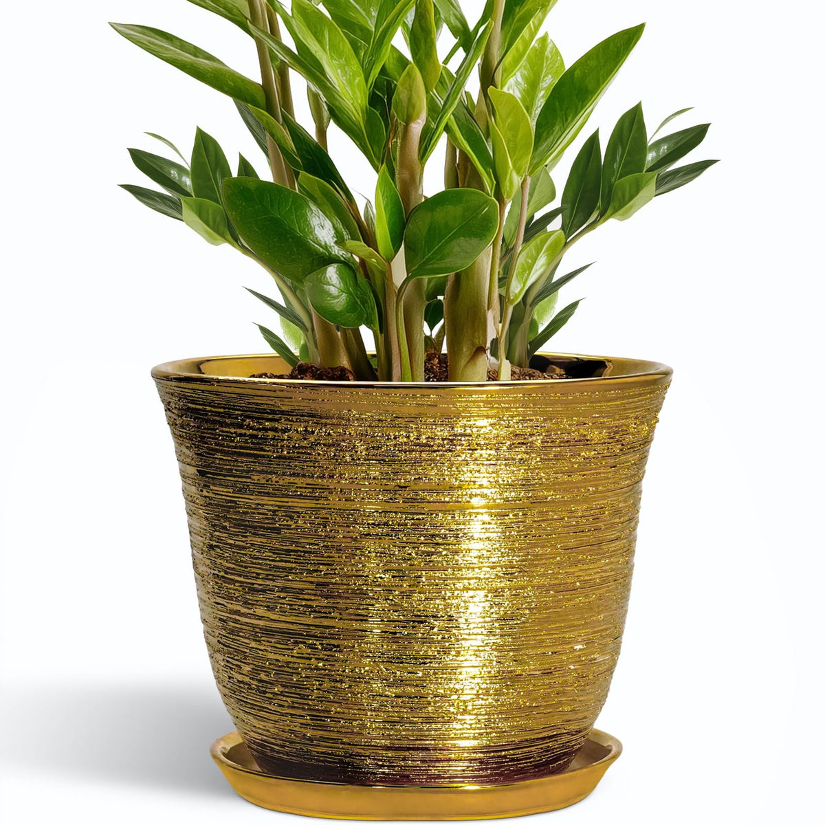 SUNPOTFOR maceta frontal dorada mostrando diseño y elegancia