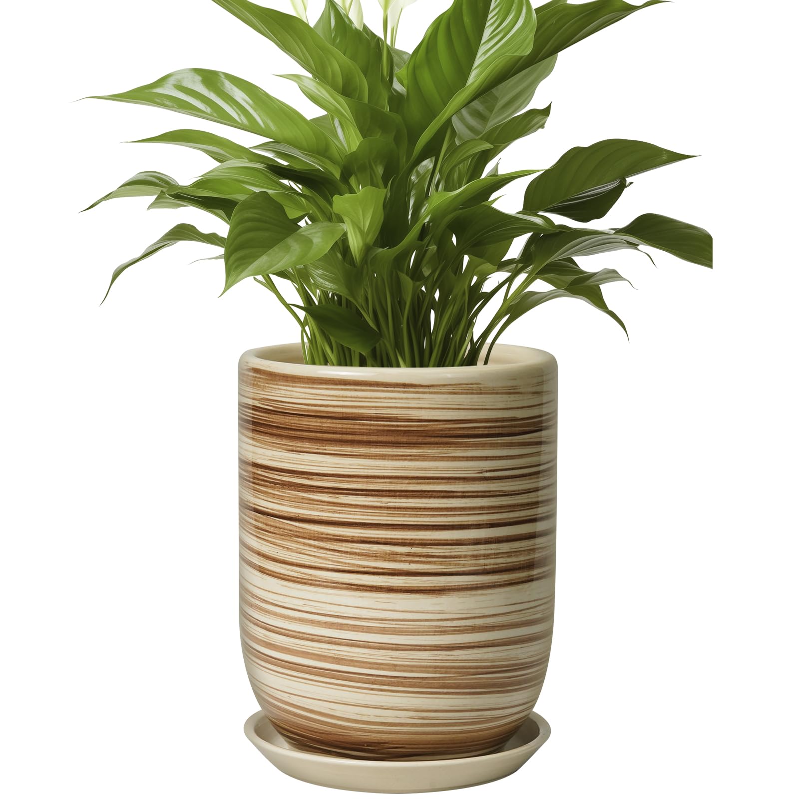 SUNPOTFOR maceta frontal amarilla, acento decorativo duradero
