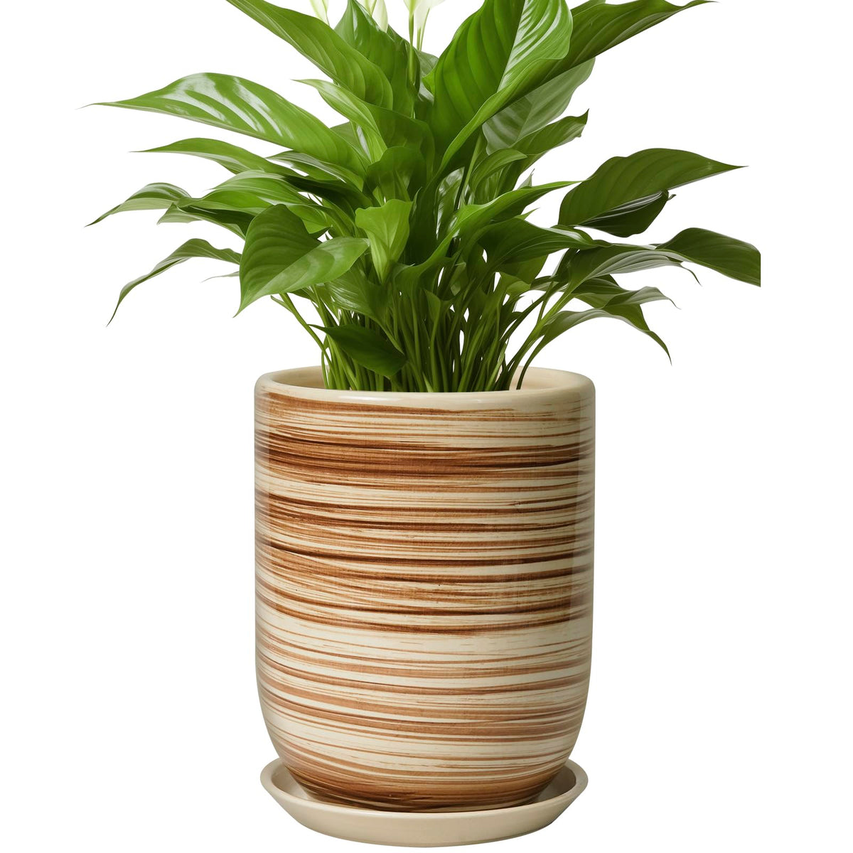 SUNPOTFOR maceta frontal amarilla, acento decorativo duradero