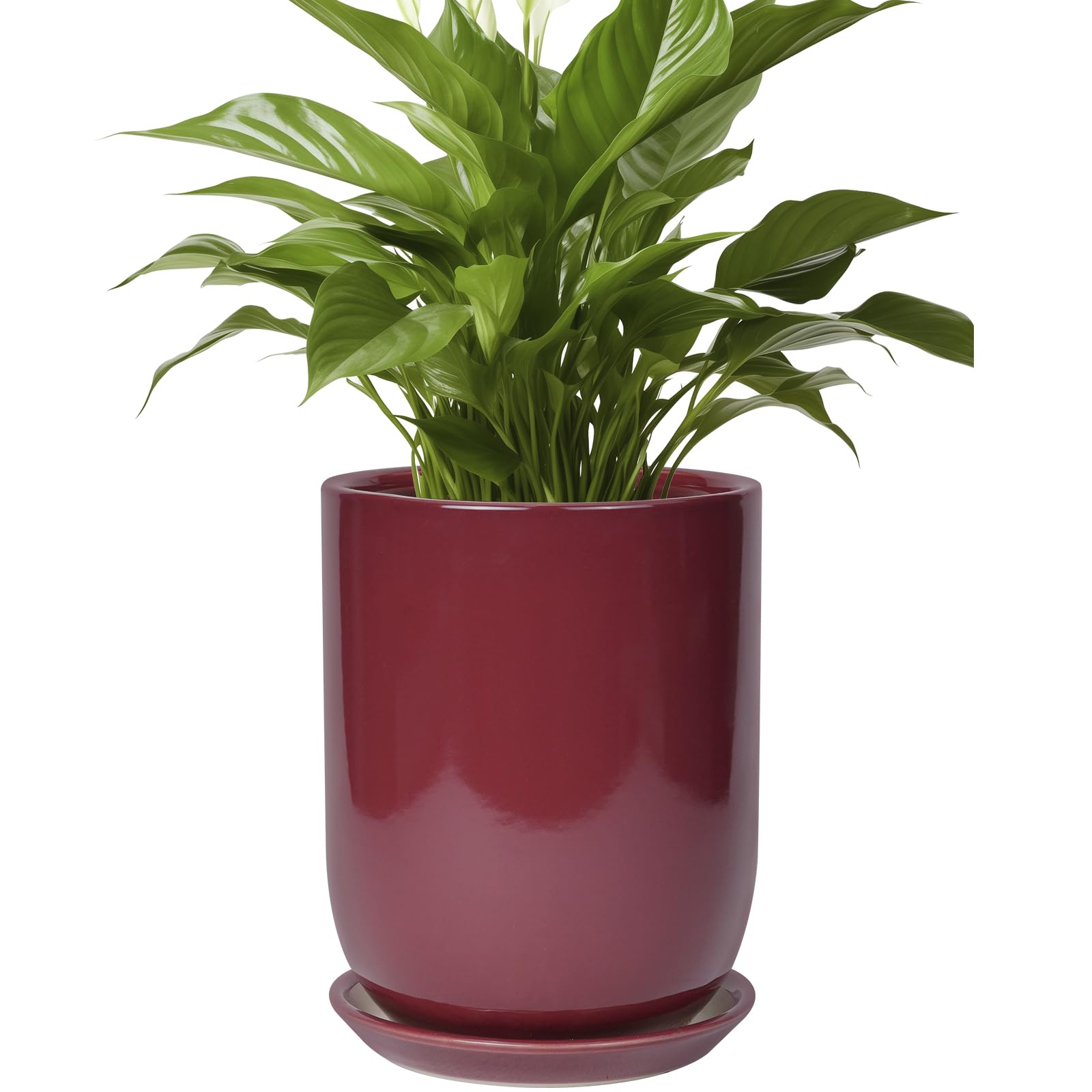 SUNPOTFOR maceta frontal roja mostrando diseño mid-century y estabilidad