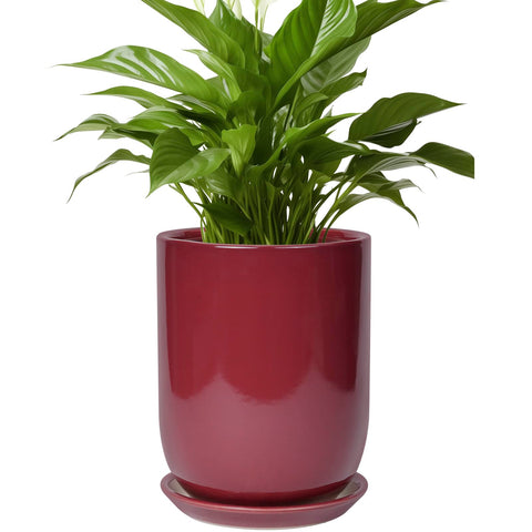 SUNPOTFOR maceta frontal roja mostrando diseño mid-century y estabilidad