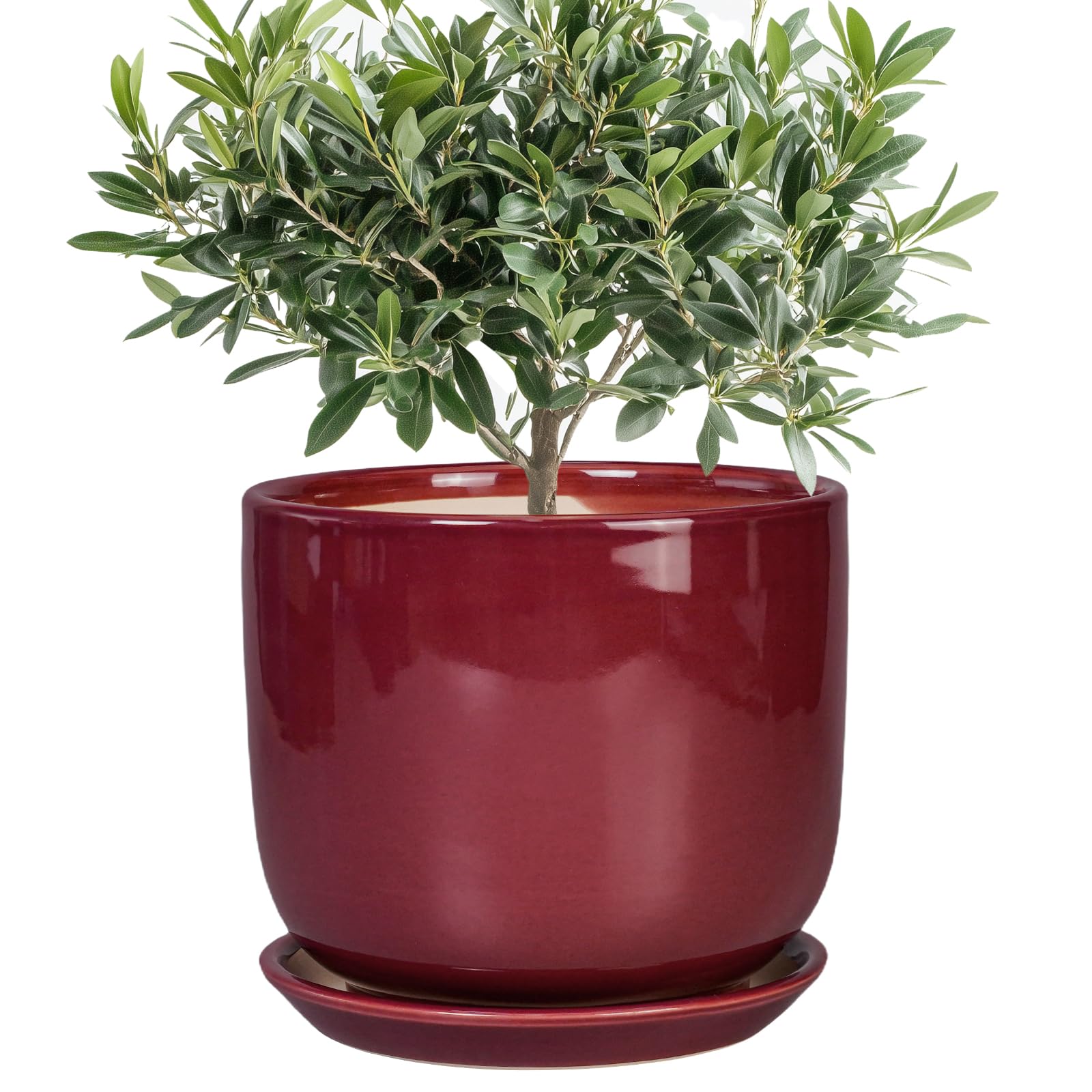SUNPOTFOR maceta frontal roja, diseño elegante y resistente