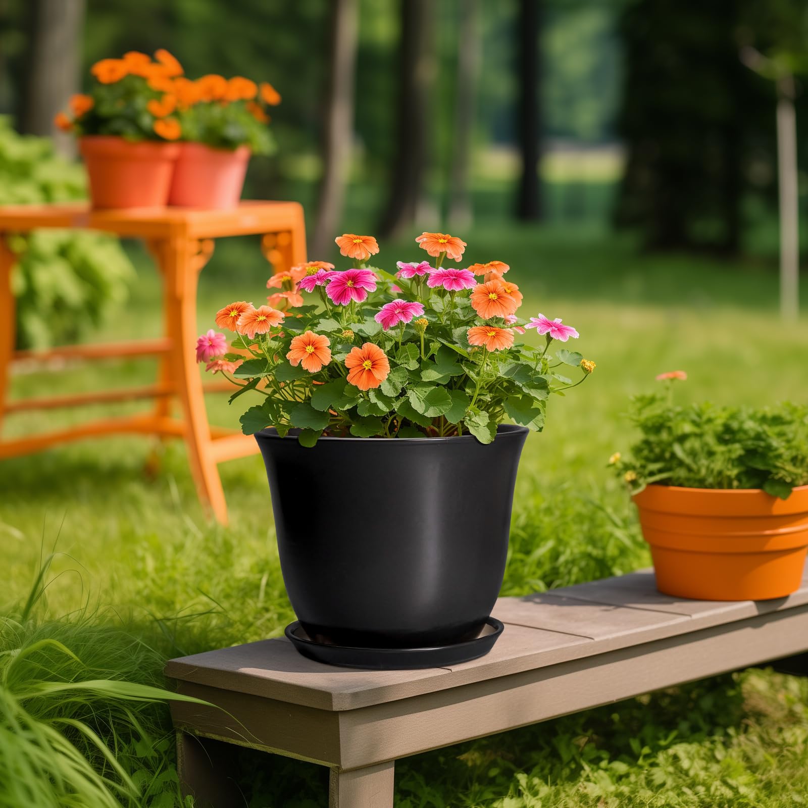 SUNPOTFOR comparación de tamaño con regla ideal para elegir plantas adecuadas