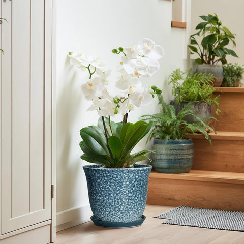 SUNPOTFOR plato recogedor con agua manteniendo muebles limpios