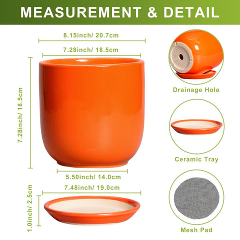 SUNPOTFOR vista superior del orificio de drenaje y plato para riego seguro
