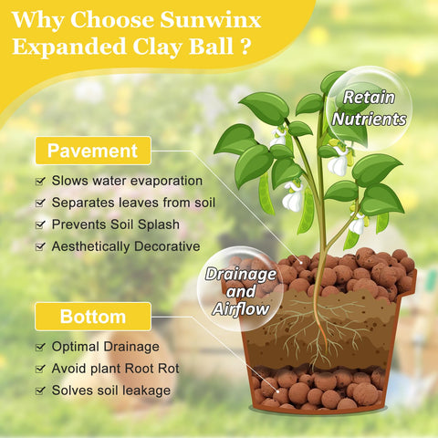 Sunwinx comparación de tamaño 4–16 mm con regla, facilita elección adecuada