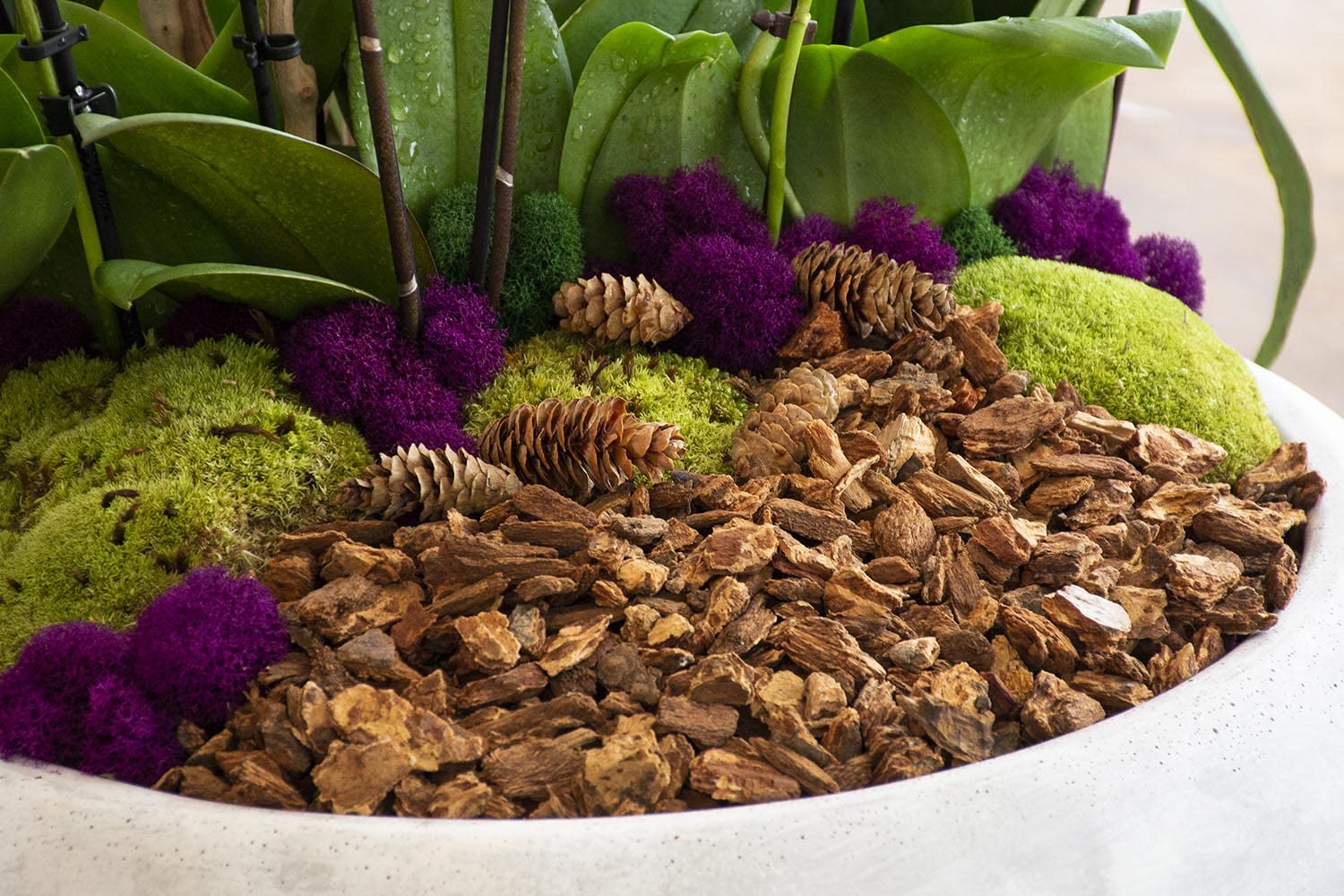 SuperMoss corteza usada en centro de mesa mejorando apariencia natural